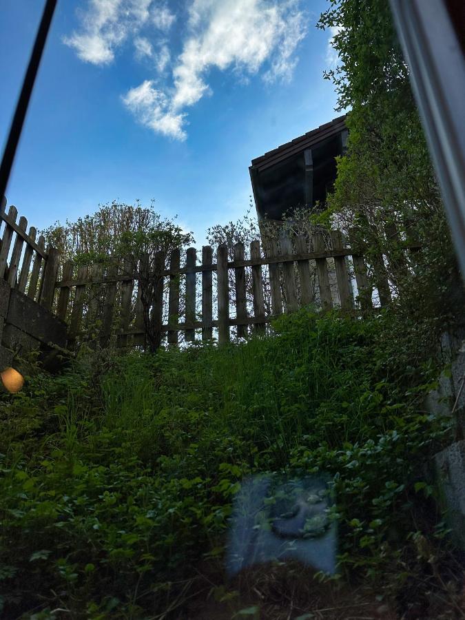 Haus Anna Lägenhet Fischen im Allgaeu Exteriör bild